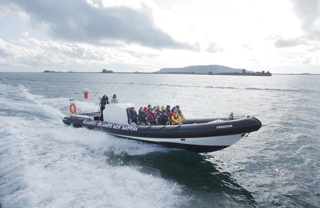 This image has an empty alt attribute; its file name is blasket-island-sea-safari.jpg